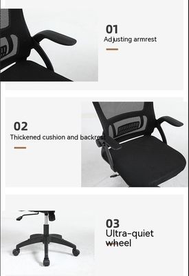 Taipan Lounge Chair Zero Gravity Relaxation with Removable Base and No Handrail Design