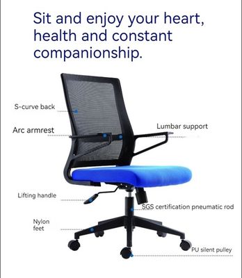 Stylish Computer Chair Bow Back Design for Customization