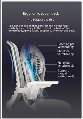 Affordable and Sleek Metal Mesh PC Chair for Company Conference Room CBM/piece 0.33CBM