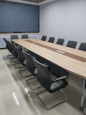 Character Revolving Ergonomic Office Chair with Lumbar Support Mesh Design and Armrests
