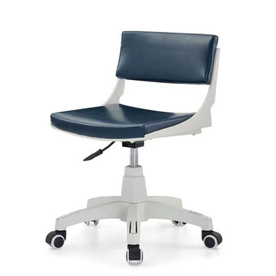 Modern Design Style Swivel Adjustable Salon Visitor Office Chair with Back PC Chair