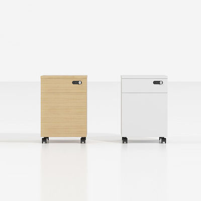 Sports Venues Business Premises Usage Scenarios Staff File Cabinet with Lock and Drawer