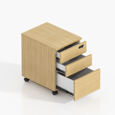 Sports Venues Business Premises Usage Scenarios Staff File Cabinet with Lock and Drawer