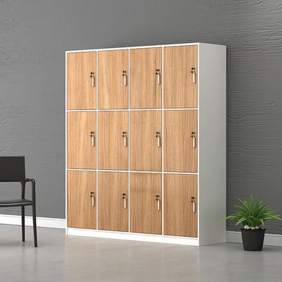 Solid Wood PANEL Employee Locker with Locking Storage Room for Gym Bathroom Dormitory