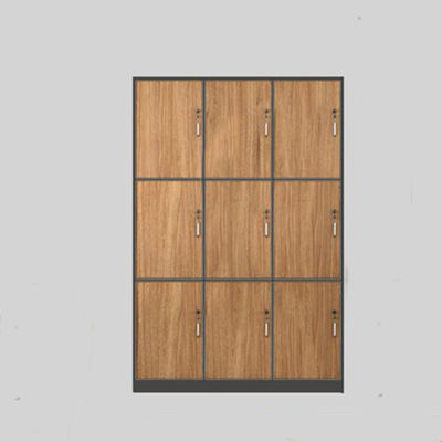 Solid Wood PANEL Employee Locker with Locking Storage Room for Gym Bathroom Dormitory