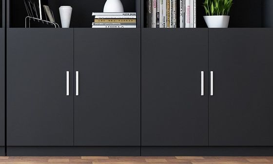 Office Two Door Pantry Cabinet with Modern Design and T/T 30% Deposit 70% Balance