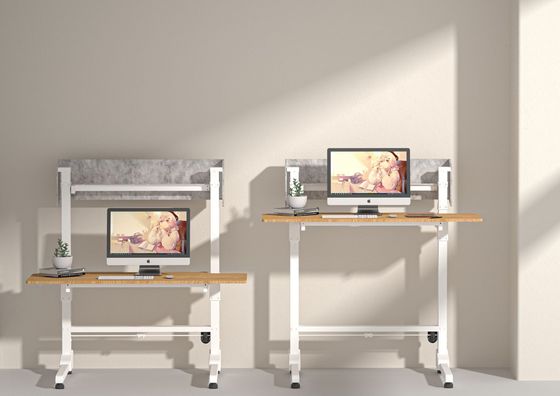 Electric Lift Office Desk Stylish Sit and Stand Up Desk for Ergonomic Work Environment