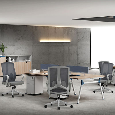 Fixed Armrest Executive Work Office Chair with Stainless Steel and Mesh Ergonomic Design