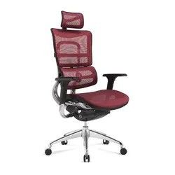 Mail Packing Modern Office Chair with Solid Wood Legs Armrest and Lumbar Support
