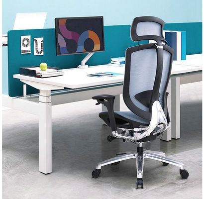 Mesh Back Ergonomic Office Chair with Aluminum Frame and Comfortable Seat