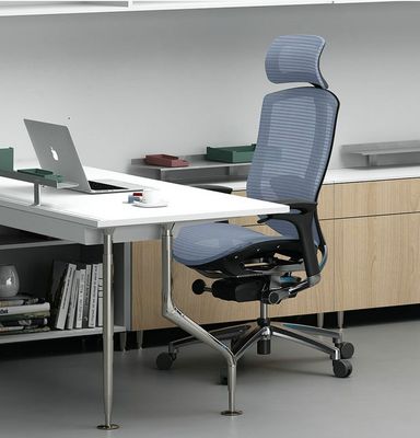 Mesh Back Ergonomic Office Chair with Aluminum Frame and Comfortable Seat