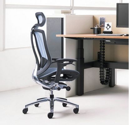 Mesh Back Ergonomic Office Chair with Aluminum Frame and Comfortable Seat