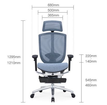 Mesh Back Ergonomic Office Chair with Aluminum Frame and Comfortable Seat