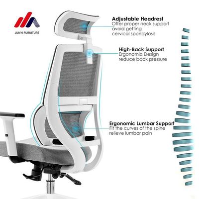 Listing Lightweight Taipan Office Chair High Back Aluminum Frame and Ergonomic Design